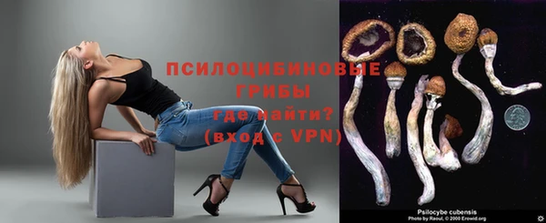 PSILOCYBIN Краснотурьинск