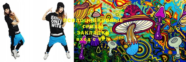 PSILOCYBIN Балашиха
