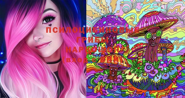 PSILOCYBIN Краснотурьинск