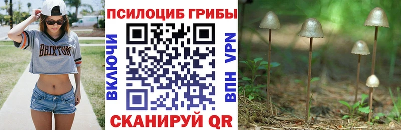 Псилоцибиновые грибы мухоморы  Купить закладки  Саров 